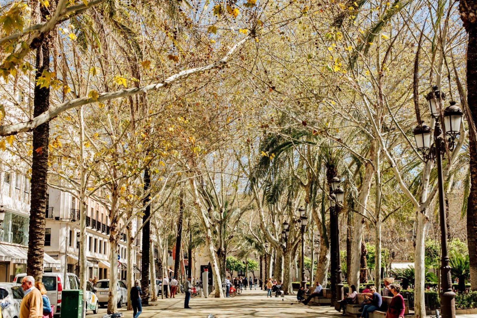 Plaza De La Magdalena I, Sevilla Centro Historico Sevilha Exterior foto